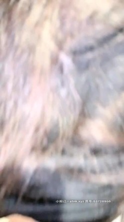 【Avove】，野战爱好者，带着炮友各地留精，最爱无毛肥逼包臀裙肉丝 截图7