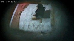 酒店偷拍 连续两天入住大学生情侣猴急男刚到房间就迫不及待扒开眼镜反差婊女友内裤研究 截图10