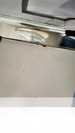 熊学生潜入教学楼女厕抄底偷拍 几个学姐的逼穿着凉鞋头上戴朵红花的极品大三白虎学姐 截图1