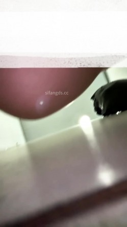 熊学生潜入教学楼女厕抄底偷拍 几个学姐的逼穿着凉鞋头上戴朵红花的极品大三白虎学姐 截图7