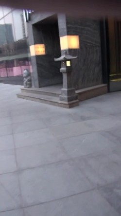 偷拍极品闷S型美女碎花裙黄高跟逛街不穿内裤 截图11