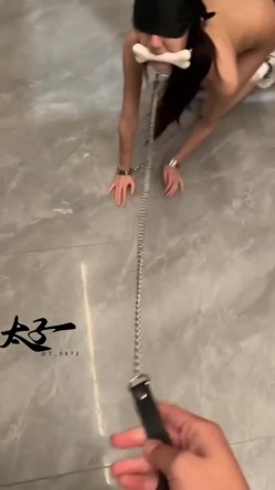 母狗调教训练推特大佬【太子】私拍，各种社死调教反差模特骚女，狗链露出爬行啪啪能玩的都玩了 截图14