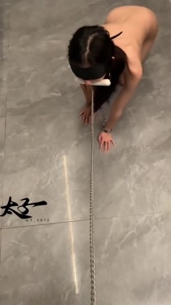 母狗调教训练推特大佬【太子】私拍，各种社死调教反差模特骚女，狗链露出爬行啪啪能玩的都玩了 截图16