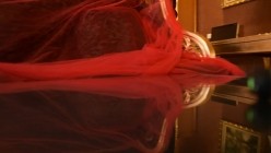 国模泄密！风骚性感女模【珺珺】大尺度私拍女体艺术 截图16