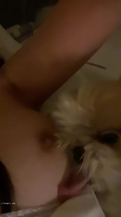 众美女口技 渴望鸡巴的大眼睛 认真吃鸡的小姐姐最迷人 裹爽再操 完美露脸 截图2