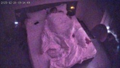 酒店上帝视角偷拍身材苗条的美女被年轻小伙后入床边前操搞完妹子去洗澡拿她的内裤套头上 截图10