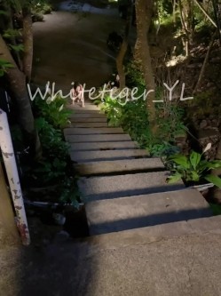 《重磅炸弹 无水首发》极品露脸反差清纯正妹！推特网红白虎_YL私拍~喝尿道具调教肛交3P户外露出能玩的都玩了 截图2