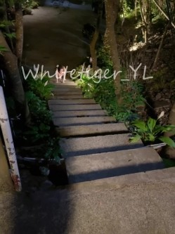 《重磅炸弹 无水首发》极品露脸反差清纯正妹！推特网红白虎_YL私拍~喝尿道具调教肛交3P户外露出能玩的都玩了 截图3
