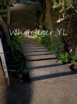 《重磅炸弹 无水首发》极品露脸反差清纯正妹！推特网红白虎_YL私拍~喝尿道具调教肛交3P户外露出能玩的都玩了 截图4