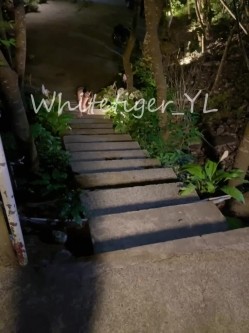 《重磅炸弹 无水首发》极品露脸反差清纯正妹！推特网红白虎_YL私拍~喝尿道具调教肛交3P户外露出能玩的都玩了 截图5