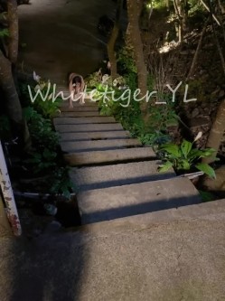 《重磅炸弹 无水首发》极品露脸反差清纯正妹！推特网红白虎_YL私拍~喝尿道具调教肛交3P户外露出能玩的都玩了 截图7