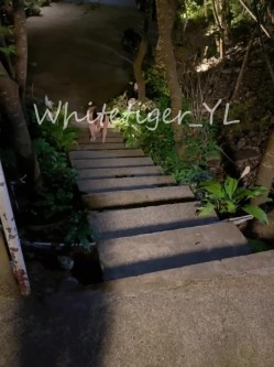 《重磅炸弹 无水首发》极品露脸反差清纯正妹！推特网红白虎_YL私拍~喝尿道具调教肛交3P户外露出能玩的都玩了 截图9