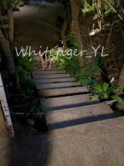 《重磅炸弹 无水首发》极品露脸反差清纯正妹！推特网红白虎_YL私拍~喝尿道具调教肛交3P户外露出能玩的都玩了 截图10
