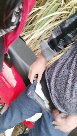 逼毛刮得很干净的淫骚少妇勾引光头佬在摩托车上啪啪搞完还未满足用香蕉插插 截图4