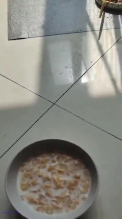 【极品流出 ️恋爱性陷阱】圈养调教大学母狗『二月』无下限性开发实录 完美曝光真实还原母狗成长变化 截图15