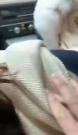 推特网红苏州昆山极品NTR夫妻【泣妻器骑】私拍乱斗，外柔内骚长腿翘臀找单男3P前后夹击极度反差 截图9