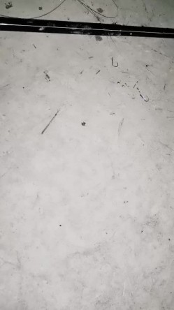 户外女神深夜开撩，勾搭夜钓大哥激情啪啪，露脸漏奶又漏逼，奥迪车上草，抠到淫水泛滥，口交大鸡巴无套爆草 截图1