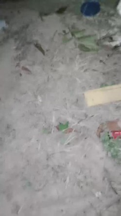 户外女神深夜开撩，勾搭夜钓大哥激情啪啪，露脸漏奶又漏逼，奥迪车上草，抠到淫水泛滥，口交大鸡巴无套爆草 截图2
