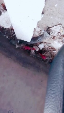 渣女来袭勾引路人打野户外激情啪啪，刺激的做爱现场让小哥舔逼口交大鸡巴揉骚奶子，后入爆草骚逼和菊花刺激 截图7