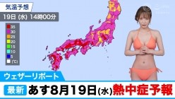 ABF-020 ジュポニカ学習帳 VOL.15 截图2