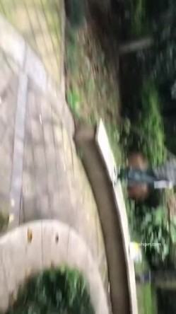 私密字母交流圈两位大神黑白-DOM-老Zz牛逼作品群P调教SM反差骚母狗主人主人尖叫不停 截图6