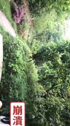 私密字母交流圈两位大神黑白-DOM-老Zz牛逼作品群P调教SM反差骚母狗主人主人尖叫不停 截图7