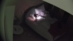 大学城 之前说法是少妇主动 现在的年轻小妹更主动啊 给男友脱裤子 含屌 翘屁股 什么姿势一拍就换 截图2