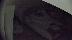 大学城 之前说法是少妇主动 现在的年轻小妹更主动啊 给男友脱裤子 含屌 翘屁股 什么姿势一拍就换 截图4