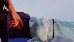 男技师偷拍女客户特殊服务 顶级大白美臀 侧躺精油按摩 金手指扣穴 截图3