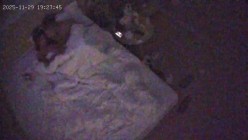 酒店偷拍 连续两天入住情侣气质甜美又身材不错的美女喜欢上位榨取男友精液 截图4