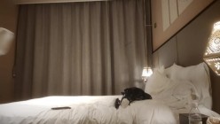 探花约操尤物女大学生，模特身材，换上白丝学生装，各种姿势插穴 截图4