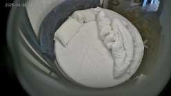 酒店情趣圆床上帝视角偷拍 顶级骚货拿个自慰棒玩了很久 被男炮友猛操满足她 截图15