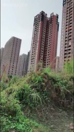 俩小少妇胆真肥,小区单元楼下大胆露出,诱惑抖奶舞,楼上的大叔看到吗 截图7