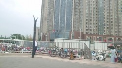 魔手 外购流出《撩裙、露毛、靓妹美少妇》高颜值丁字裤靓妹 丁字裤长毛毛美女 截图16
