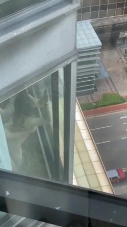 我的邻居都是狠人哪 总是给你带来最美的风景线 尤其疫情期间长期在家实在太无聊 截图2