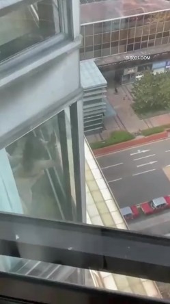 我的邻居都是狠人哪 总是给你带来最美的风景线 尤其疫情期间长期在家实在太无聊 截图4