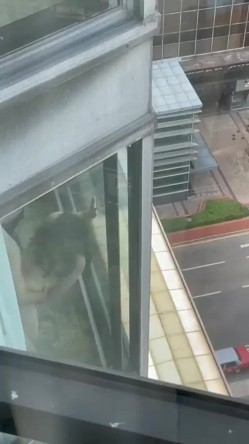 我的邻居都是狠人哪 总是给你带来最美的风景线 尤其疫情期间长期在家实在太无聊 截图5
