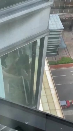 我的邻居都是狠人哪 总是给你带来最美的风景线 尤其疫情期间长期在家实在太无聊 截图6