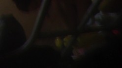 某高校女宿舍窗外偷拍好几个女学生洗澡,学校真抠门舍不得给女生宿舍装窗帘 截图11