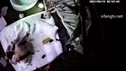 【精品360】爆操情趣内衣黑丝袜 JK学生制服 暴力后入操 截图7