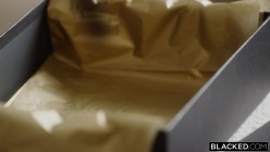 Blacked.26.04.28.Melztube.Plaything.Gets.Dominated.By.Her.Sugar.Daddy.XXX.2160p.MP4-P2P[XC] 截图4