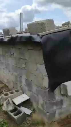 秋高气爽 风格外大 带上小母狗出来郊游 尿个尿 自个卫 放空自己 回归自然 截图3
