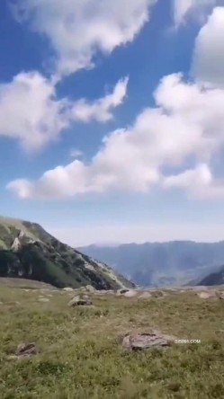 秋高气爽 风格外大 带上小母狗出来郊游 尿个尿 自个卫 放空自己 回归自然 截图13