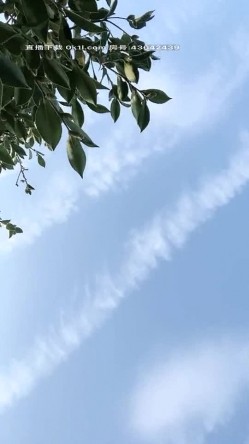 漂亮美乳户外露出美女〖麻衣川子〗户外发骚跟大哥下乡野战啪啪 跪舔裹屌 全裸翘美臀无套后入 春潮红晕 高清源码录制 截图10