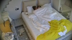 民宿酒店 男人等的美少妇身材苗条 脱衣之后的大奶子很惊艳 男人拿脸撞屁股有点意思 舔狗本狗无疑 截图10