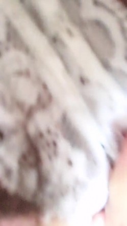 强烈推荐 非常漂亮有气质的御姐范美女尽情的展示诱惑 逼毛很是茂盛 截图8
