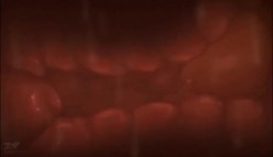 300米自购小狐狸主播 ️-性学课堂-珂珂- ️土豆群真人裸体教学视频 10V，知识大讲堂，开眼界了！ 截图9