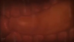 300米自购小狐狸主播 ️-性学课堂-珂珂- ️土豆群真人裸体教学视频 10V，知识大讲堂，开眼界了！ 截图14