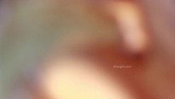 重磅【大学生私密拍摄】明星颜值长得很像白鹿的模特 大尺度私拍泄密流出 截图8