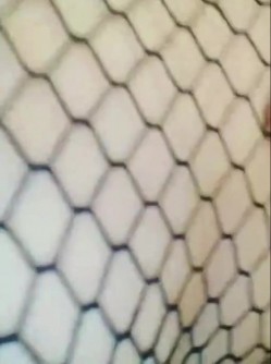 骚货老阿姨，这是多么爱吃鸡巴  每天都要吃，扭扭舞，再和老王一起做爱 截图8
